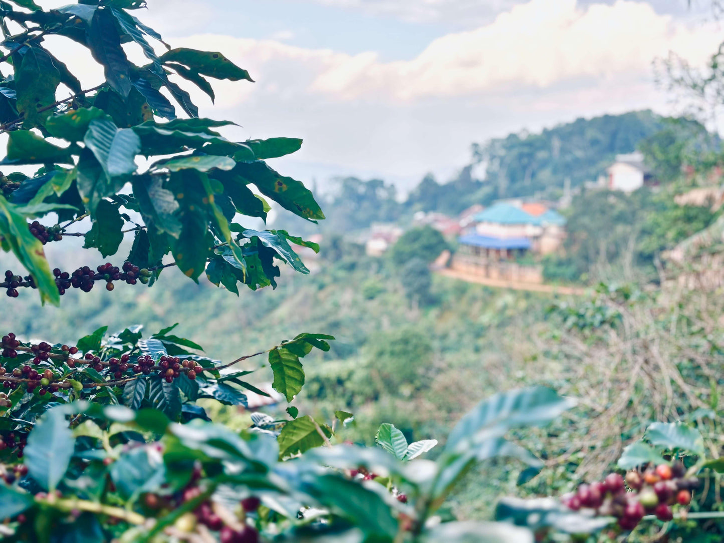 vu sur le village de pangkhon en thailande
