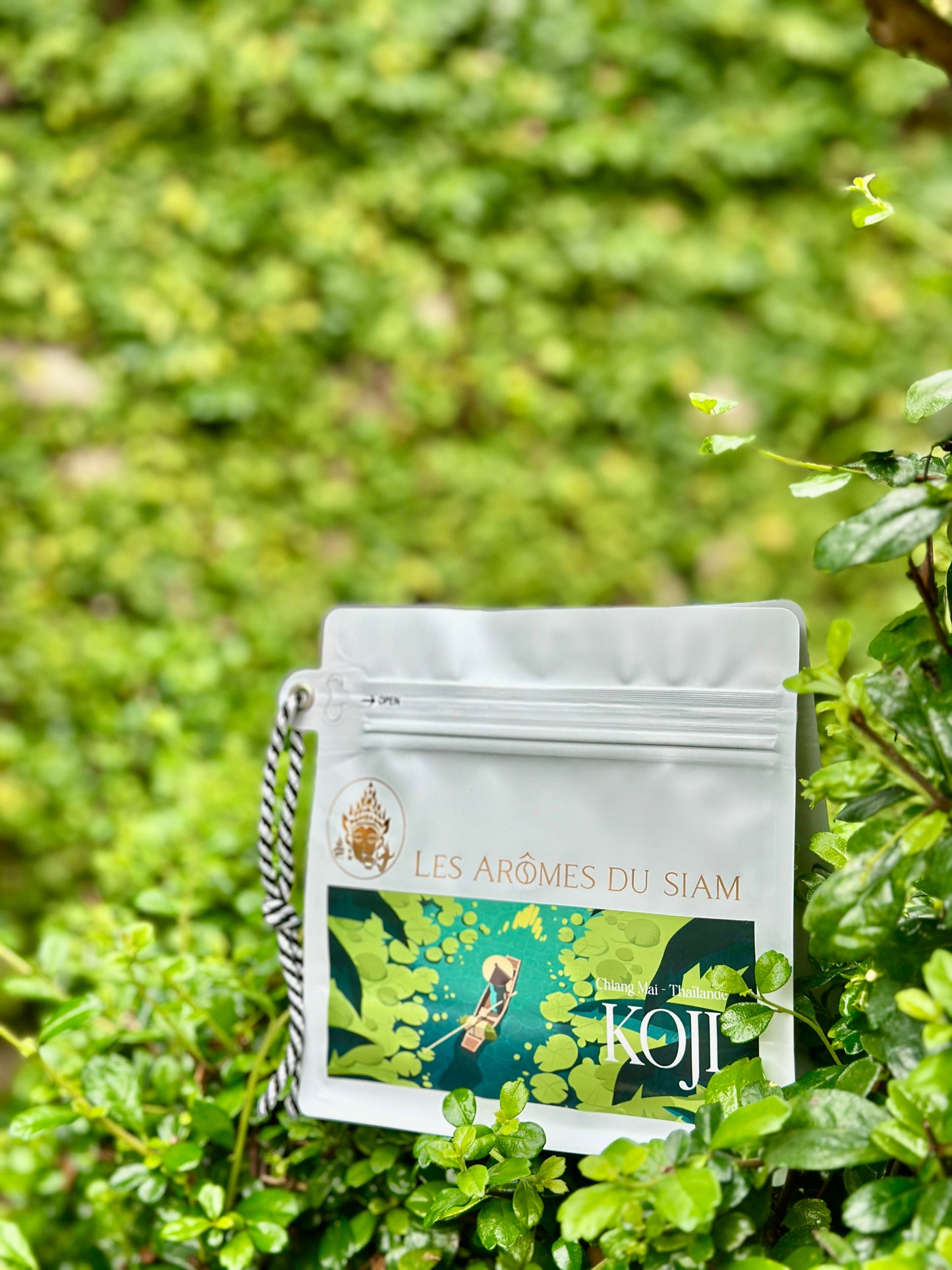 Koji