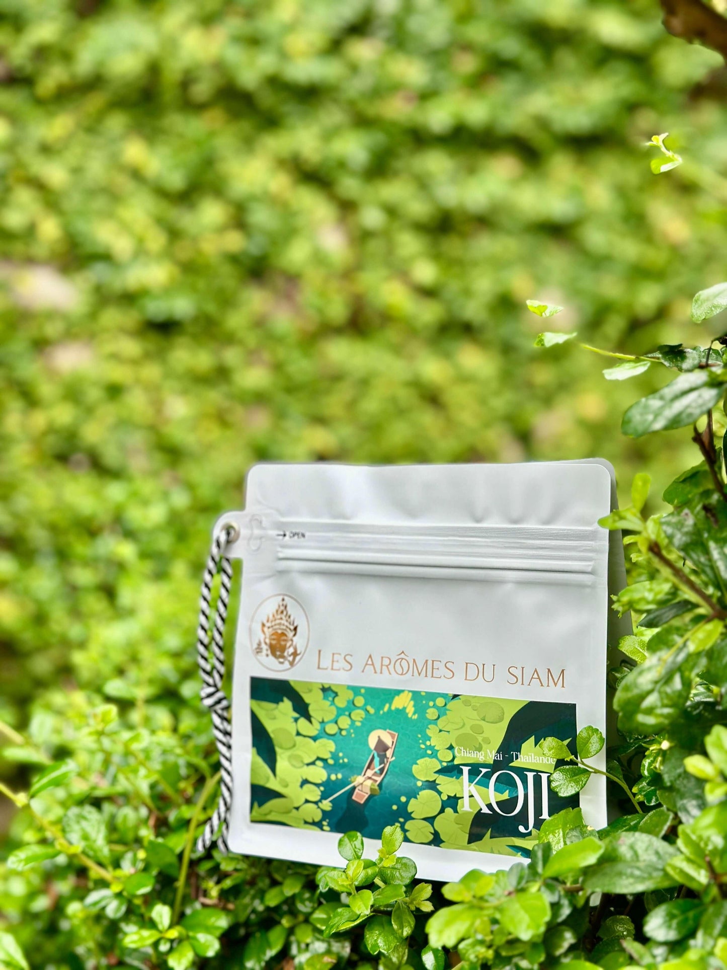 Koji coffee packaging against a lush green background, showcasing its unique Thai-Japanese blend.