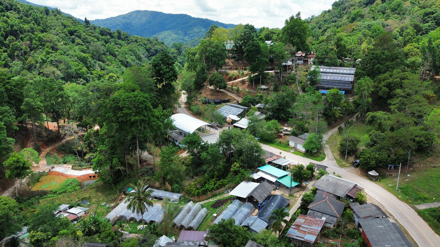 Pang Bong village