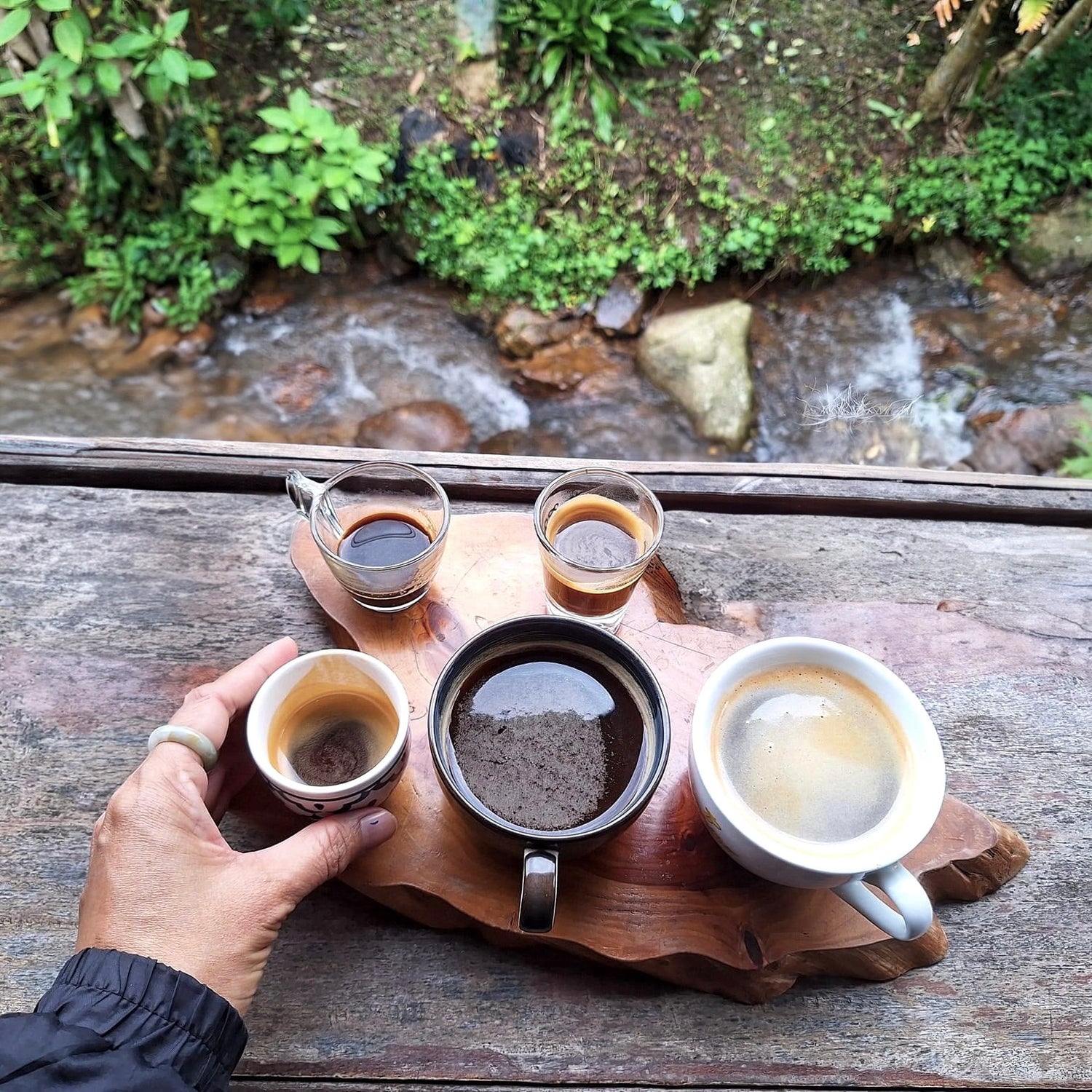 les aromes du siam - koji - geisha- café - café de spécialité - thailande - thailandais - torréfié en france- grains de café